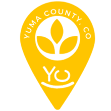 YCEDC