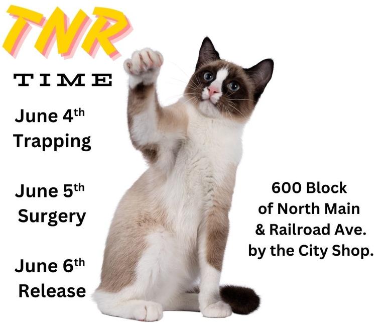 TNR TIME: June 4, 2025 Trapping, June 5, 2025  Surgery, June 6, 2025 Release.  TNR will be in the 600 Block of North Main & Railroad Ave., by the City Shop.