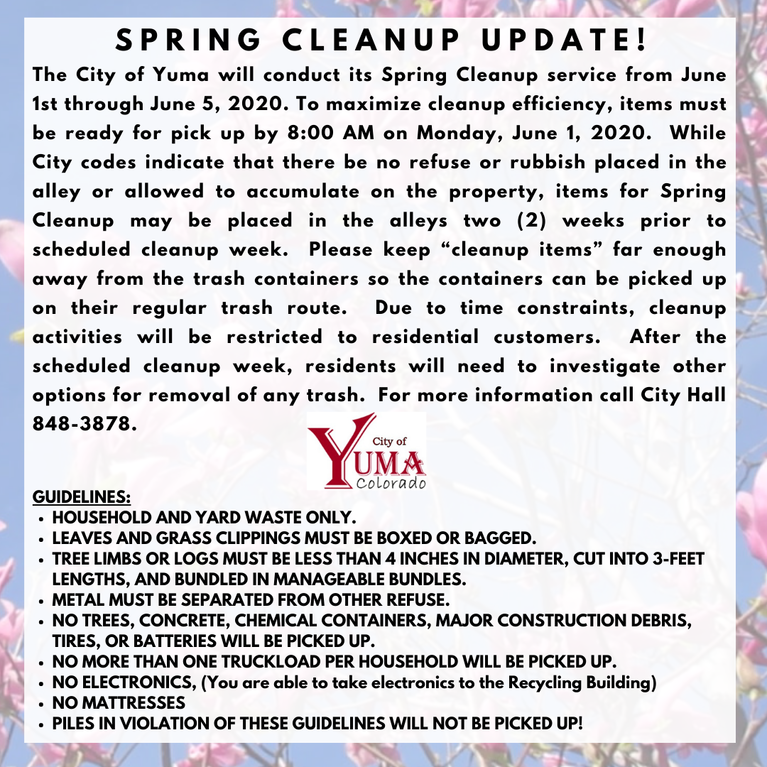 spring cleanup 2020