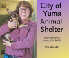 laura animal shelter