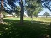 Hanson Park