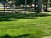 Star Park